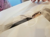 1842020_200418_0014.jpg - ซ่อมโซฟาอาการพักแขนหัก | https://hatyaisofa.com